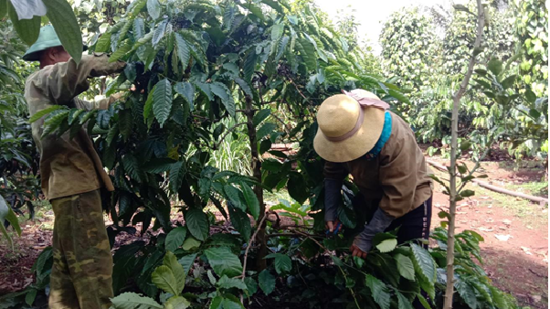 Các tổ chức hội đoàn thể trên địa bàn xã Ea Hiao  phát huy vai trò trong công tác ủy thác vốn vay từ Ngân hàng Chính sách xã hội